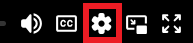 Video player icons