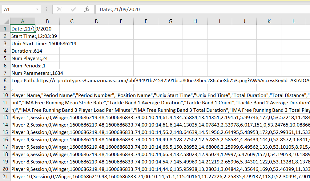 CSV File Format